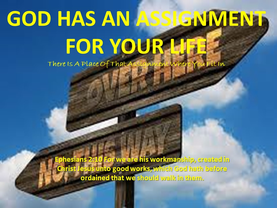 the assignment of god